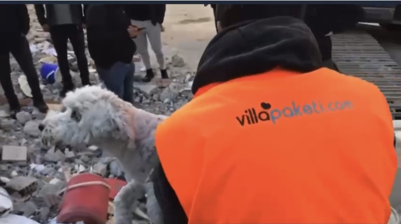 Dramático: Rescatan a perrito sepultado en escombros