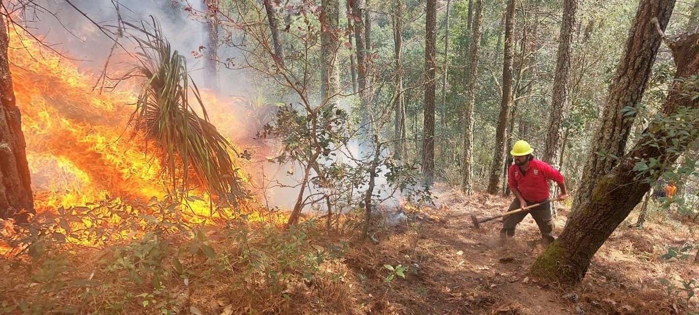 Extinguen incendio en Parque Nacional Los Mármoles