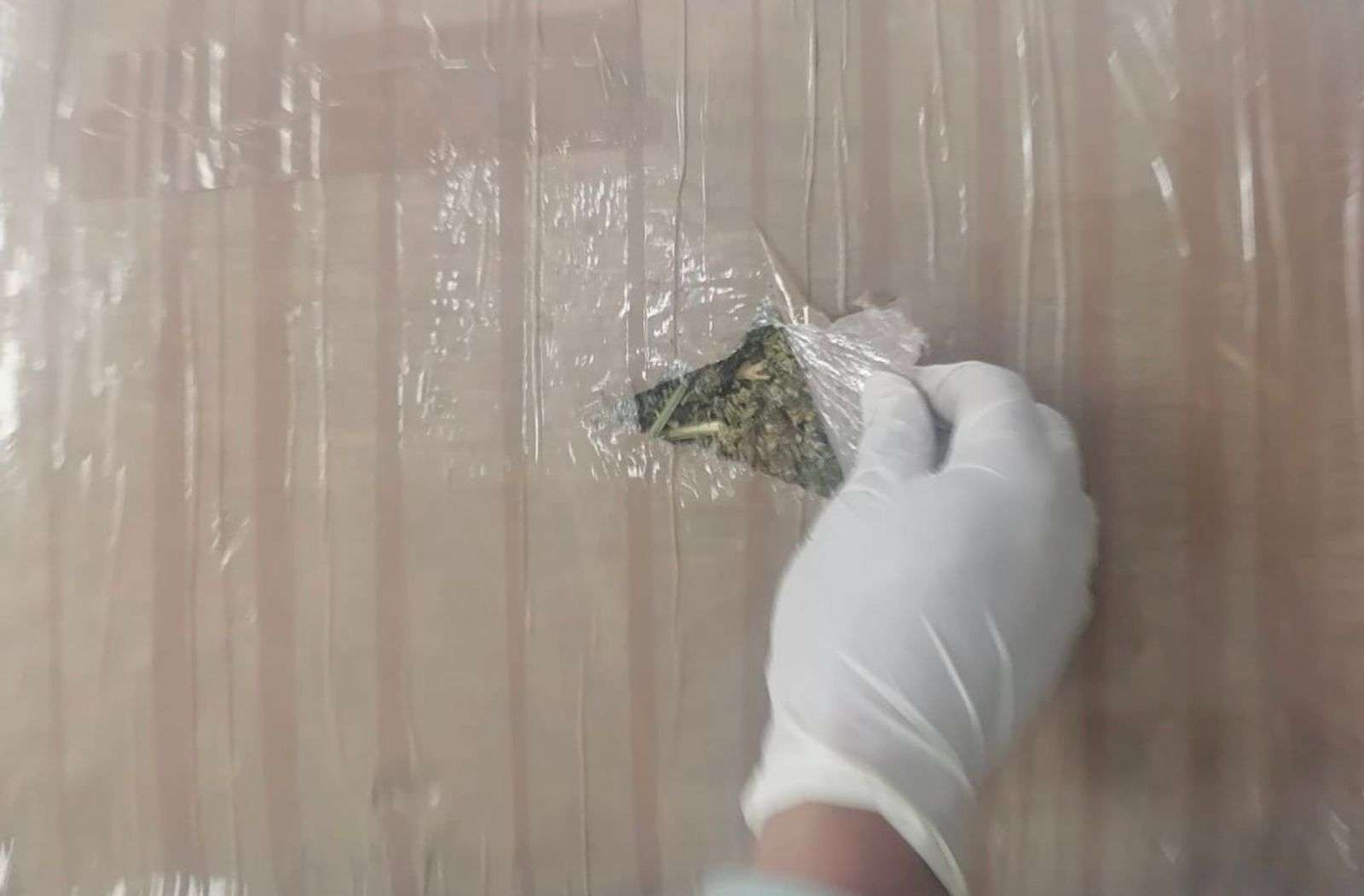 En Aguascalientes, asegura Guardia Nacional paquete con presunta marihuana