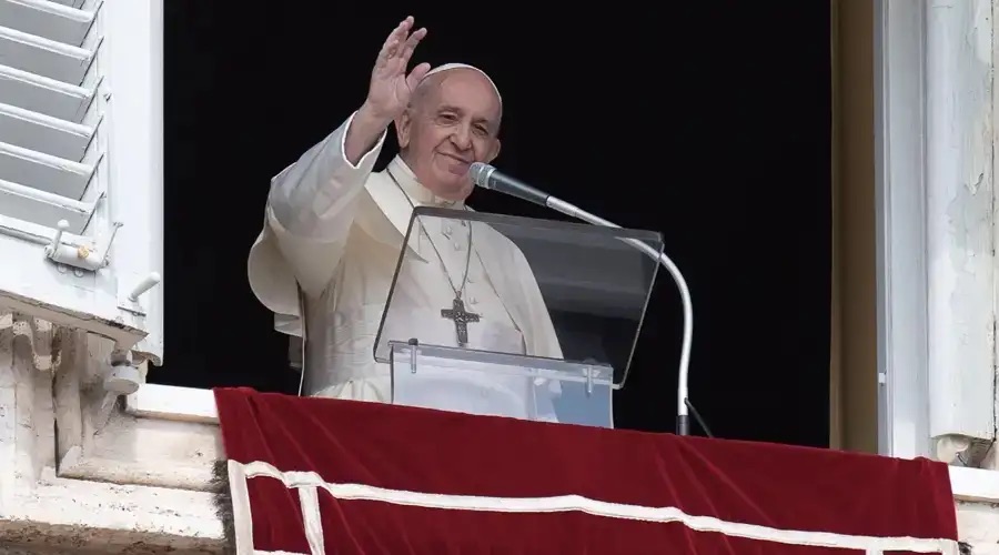 Mascotas “Sustitutos mediocres” de la maternidad: Papa Francisco