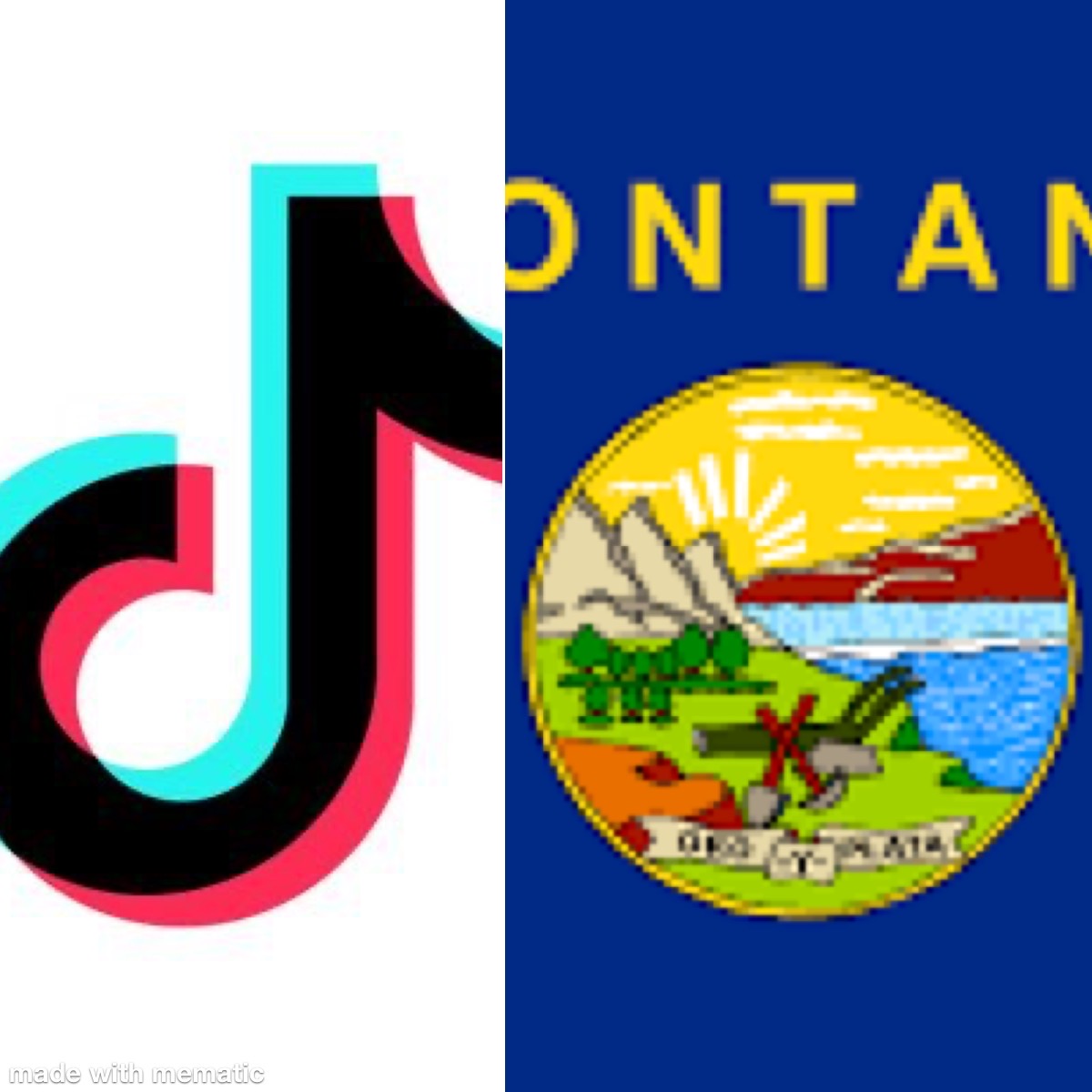 TikTok demanda a Montana por la prohibición local de la aplicación