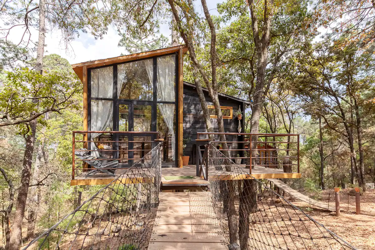 Revela Airbnb que Casa del Árbol Pinochueco, es uno de los más deseados por travelers