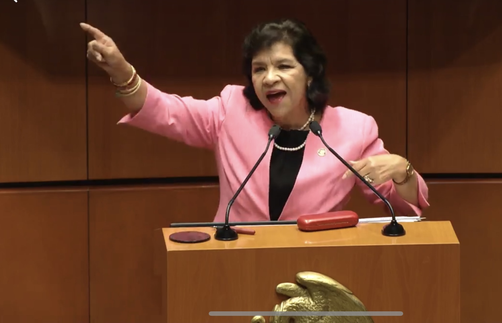 Somos mayoría y mandamos nosotros: Lidia García, diputada federal hidalguense sobre nombramientos del INAI