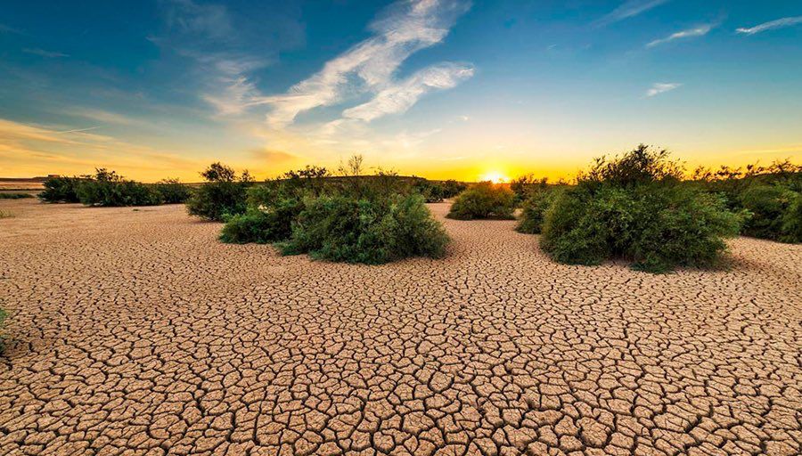 Degradada más de la mitad de los suelos en México: UNAM 