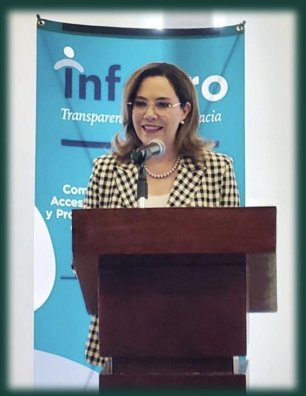 El INAI resulta incómodo ante el poder: Blanca Ibarra, comisionada presidenta