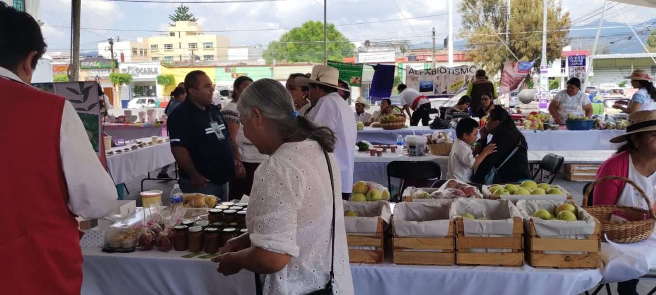 La “Feria de la Manzana” se inaugura el próximo 25 de agosto en San Andrés Tianguistengo, Actopan