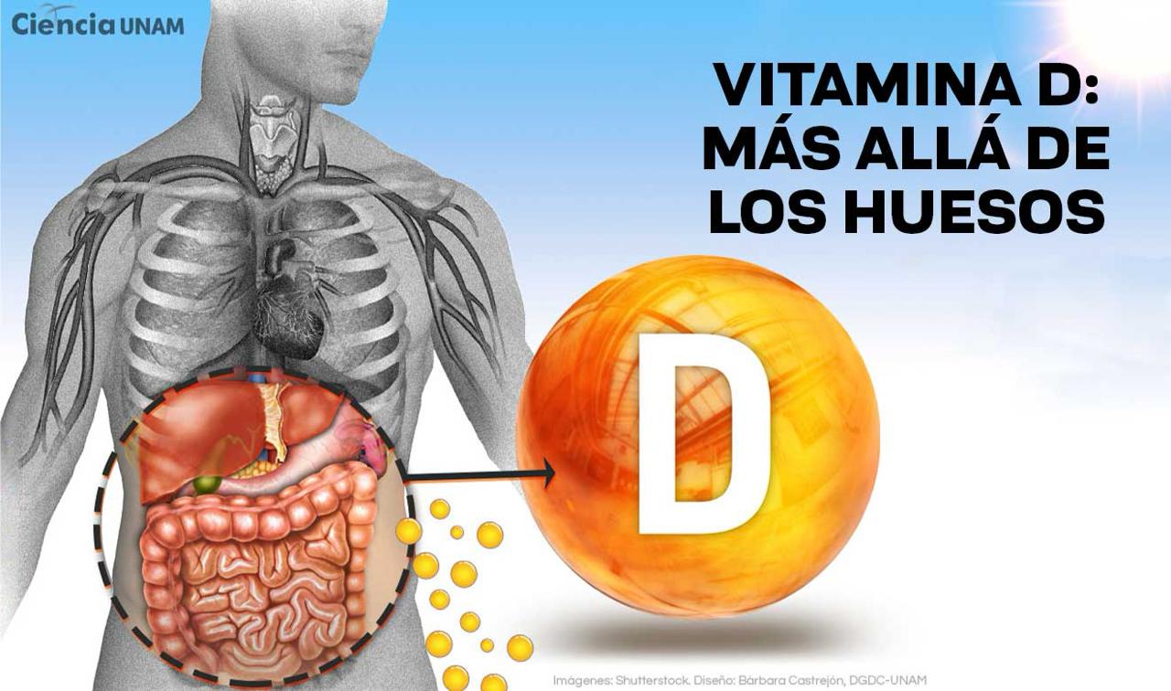 La vitamina D en la salud intestinal 