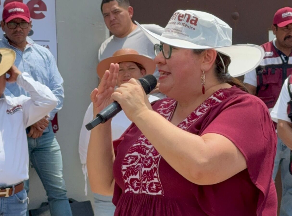 Hidalgo debe contar con políticas públicas para atención de animales callejeros: Tania Meza