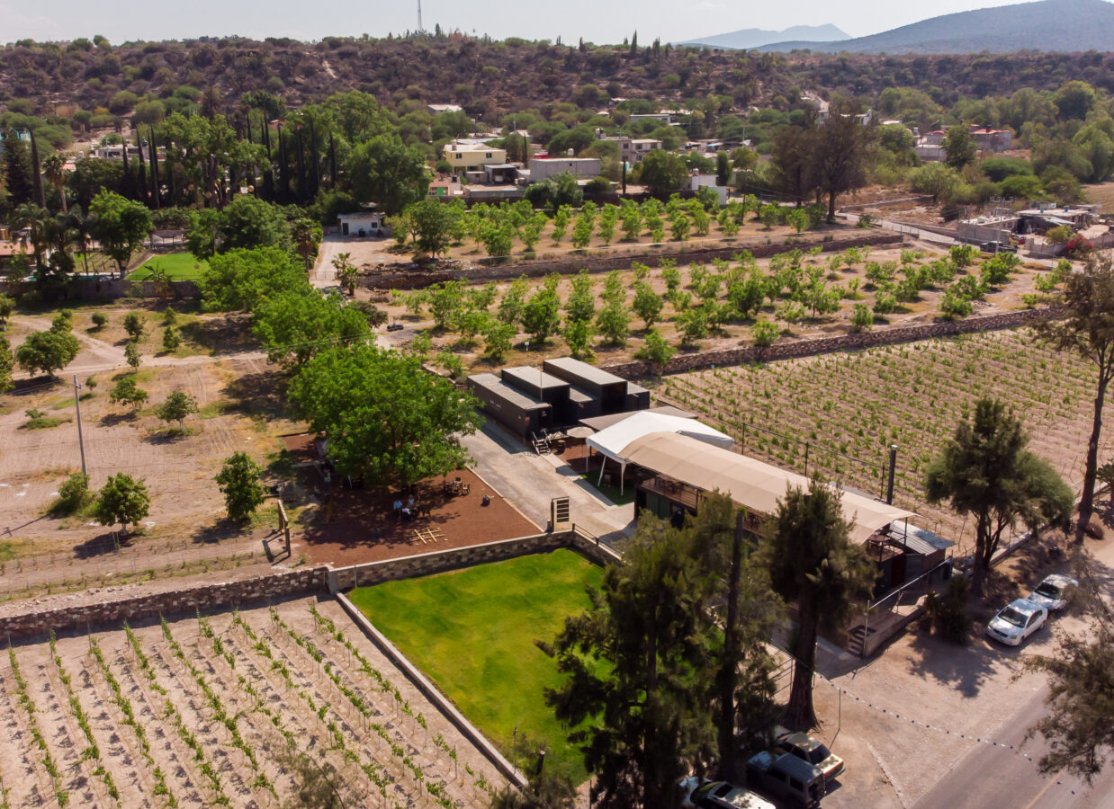 Primer aniversario del viñedo Tierra y Almas 