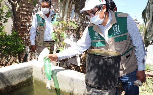 Riesgo por Dengue, en 33 municipios del estado: IMSS