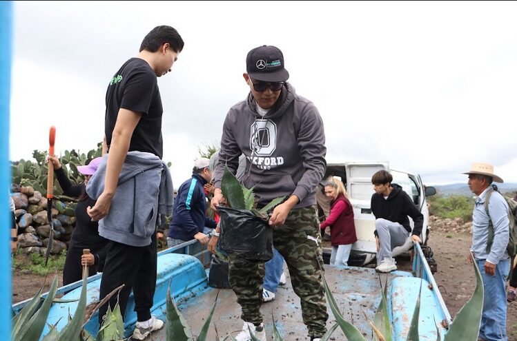 En coordinación, reforestan área natural protegida en Tula