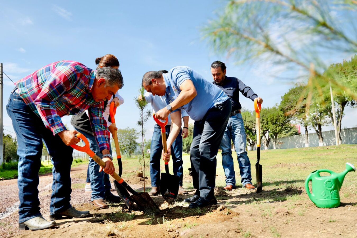 IMSS Hidalgo reforesta áreas verdes en Unidades Médicas 