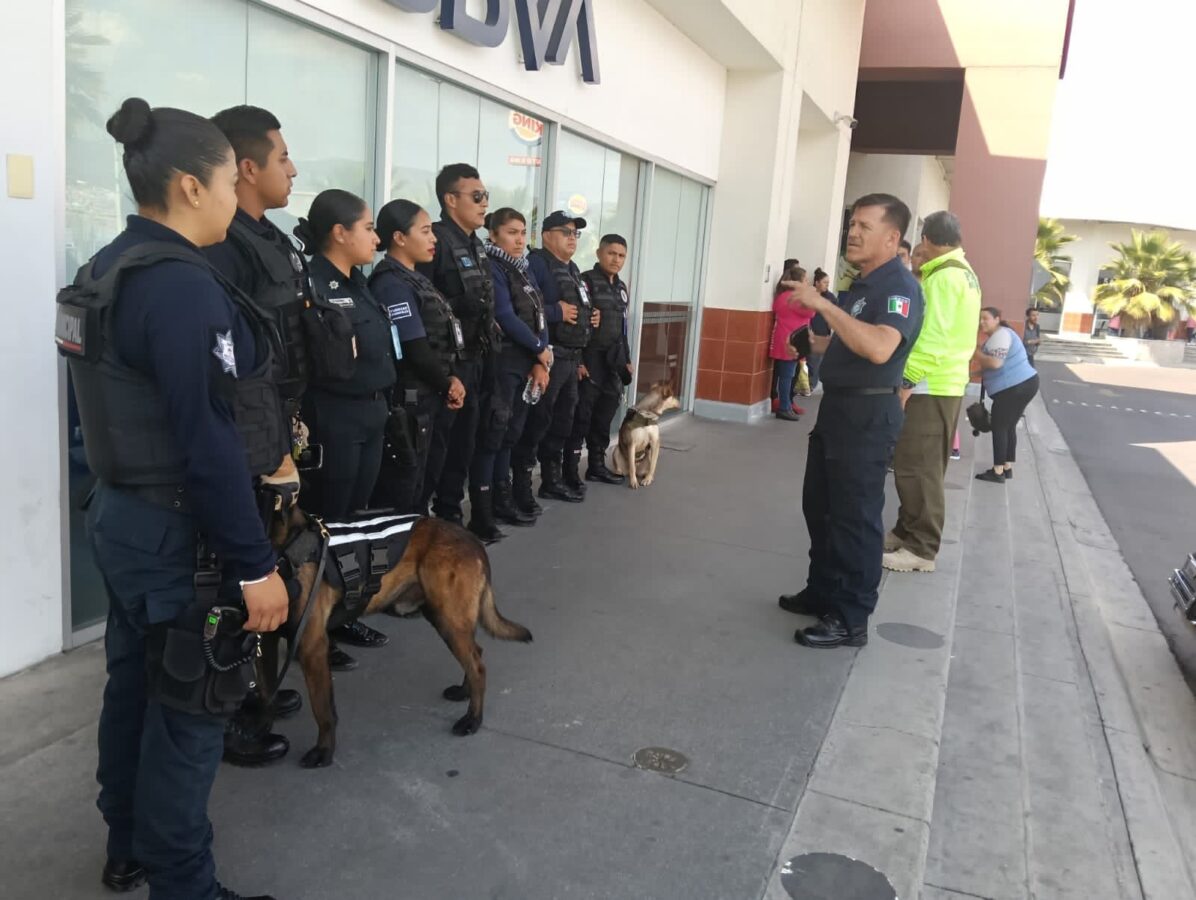 Saldo blanco durante “Buen Fin”, en Zona Metropolitana de Pachuca