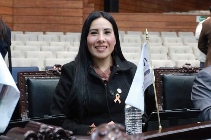 Buscan hacer de Hidalgo referente de transporte seguro para 2030: Hilda Miranda