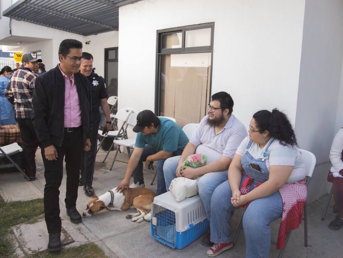 Impulsa Mineral de la Reforma campaña de esterilización para animales de compañía