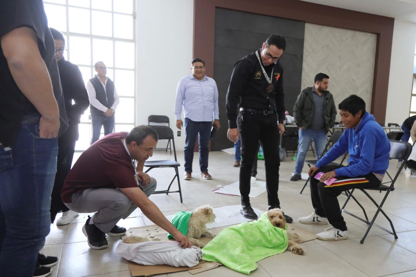 Esterilizarán a mil 400 perros y gatos en Pachuca