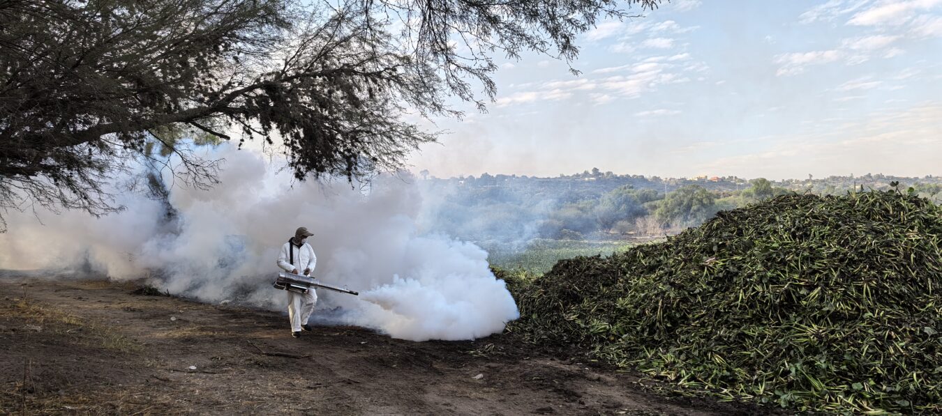 Fumigan para atender emergencia ambiental en la presa Endhó.