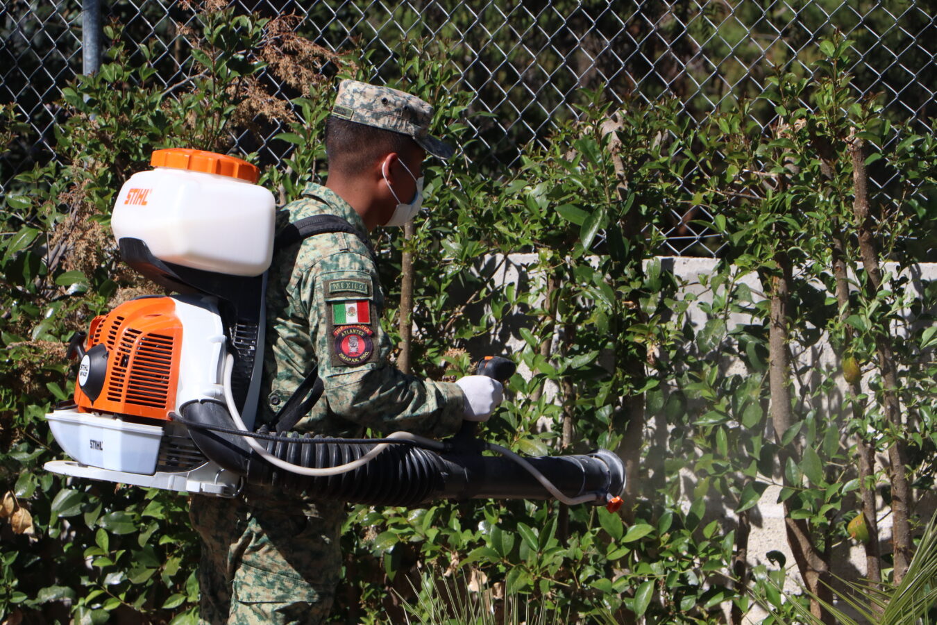 Combaten militares lirio en la presa Endhó