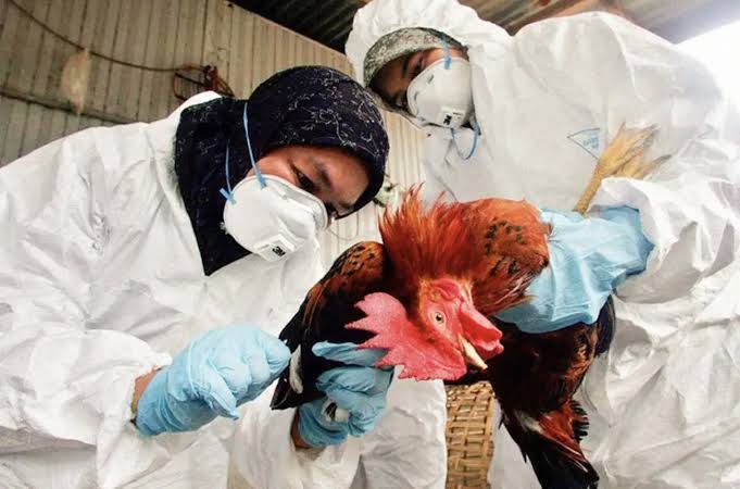 Alerta, por virus de influenza H5N1: UNAM.