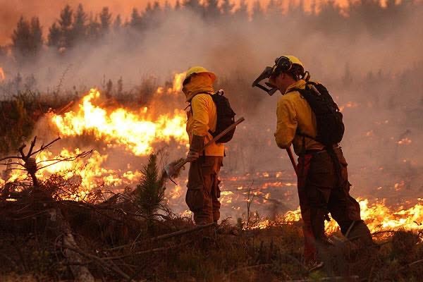 Alistan combate a temporada de incendios