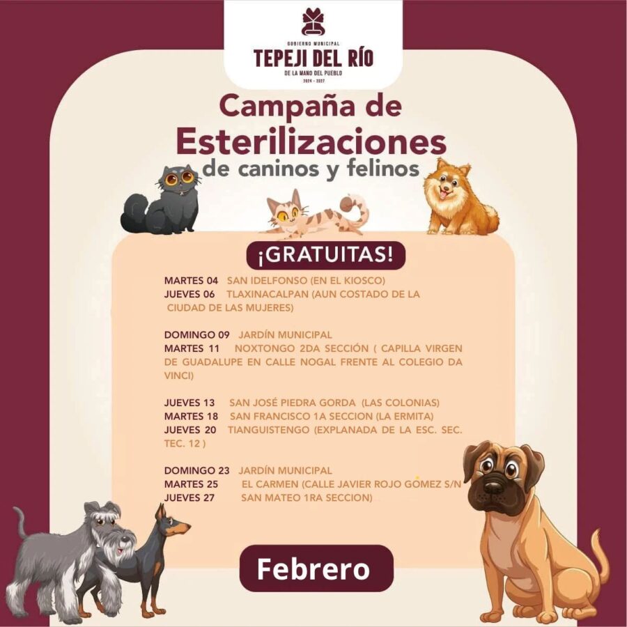 Campaña Gratuita de Esterilización Canina y Felina en Tepeji