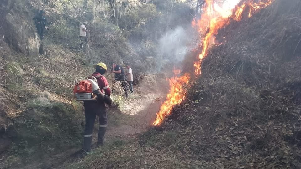 Sube a 10 incendios forestales en solo 24 horas: Semarnat