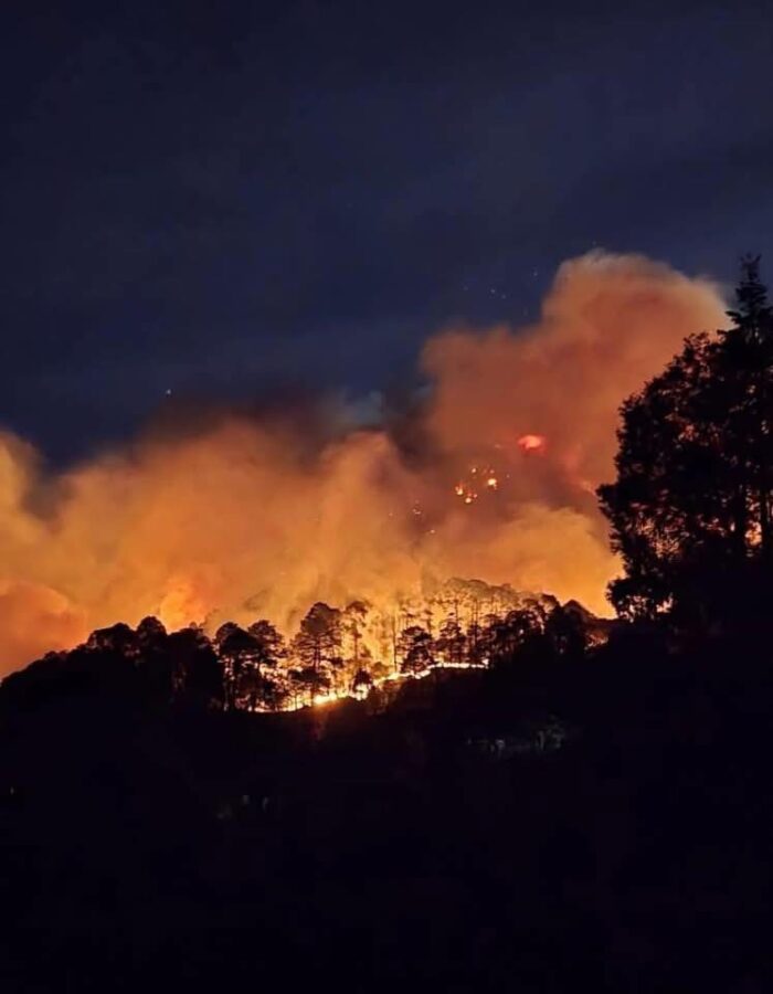 Galería de incendios forestales en Hidalgo.