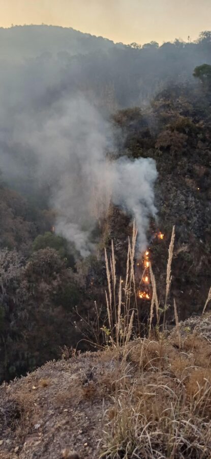 Controlan incendio en el cerro del Tezontle en Huasca