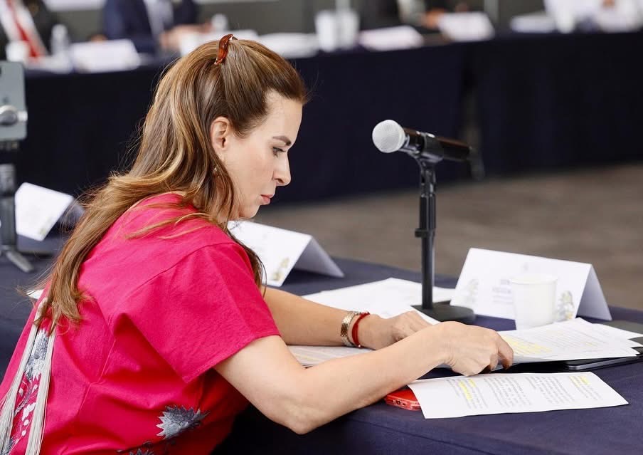 Sipinna, seis años sin sesionar, acusa Carolina Viggiano.