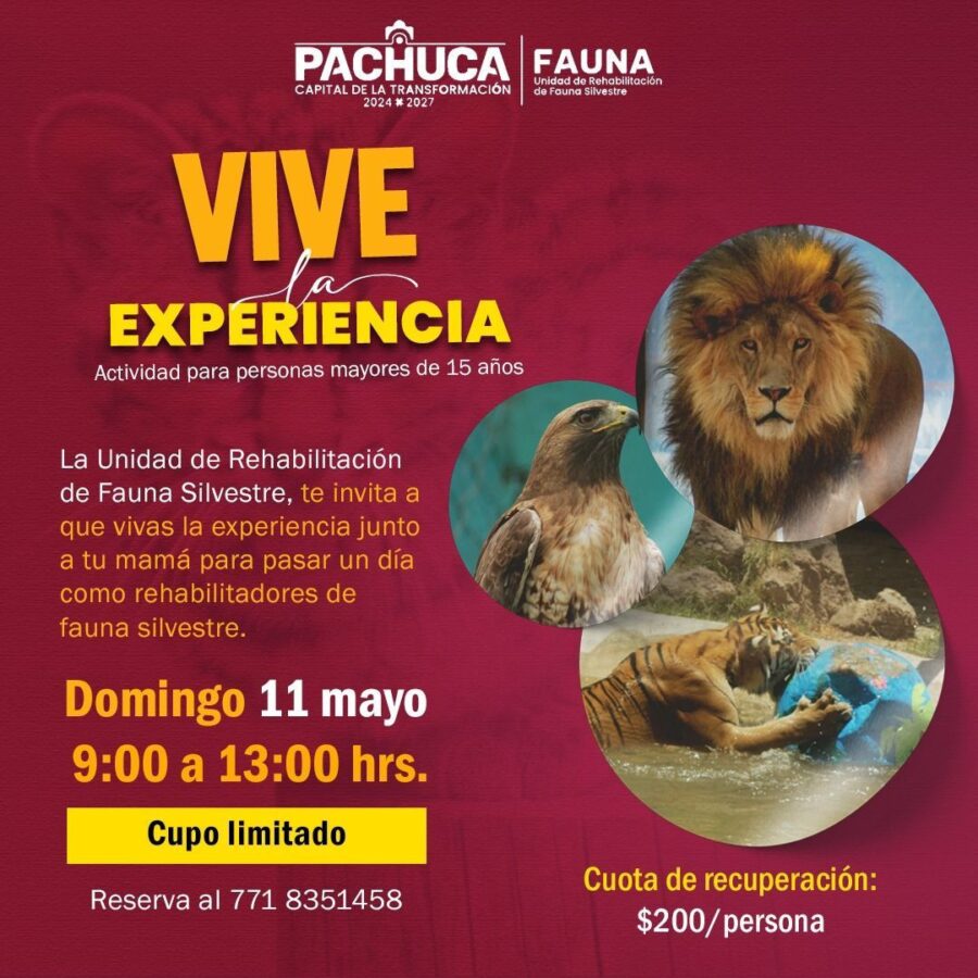 Invita Pachuca a las mamás para conocer las especies de la Unidad de Rescate