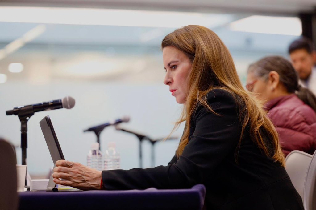 Ley de Simplificación Administrativa, “un Gran Hermano”: Viggiano.