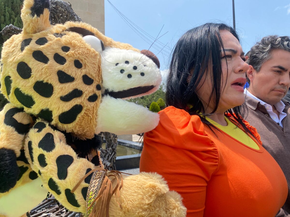 Proponen “Día del Jaguar” en Hidalgo