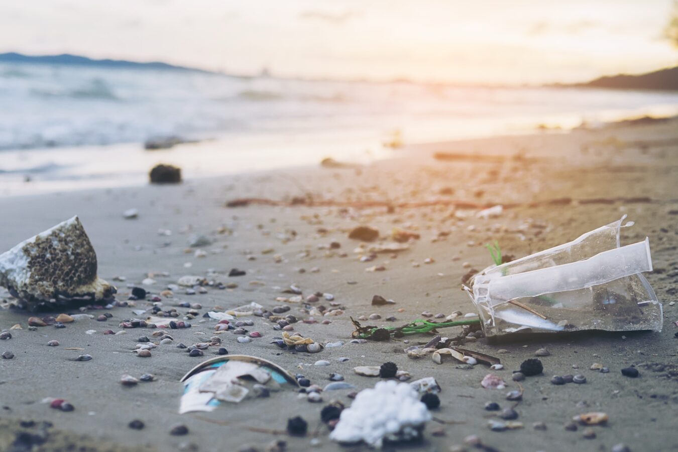 En marcha, estrategia de limpieza de playas y costas mexicanas