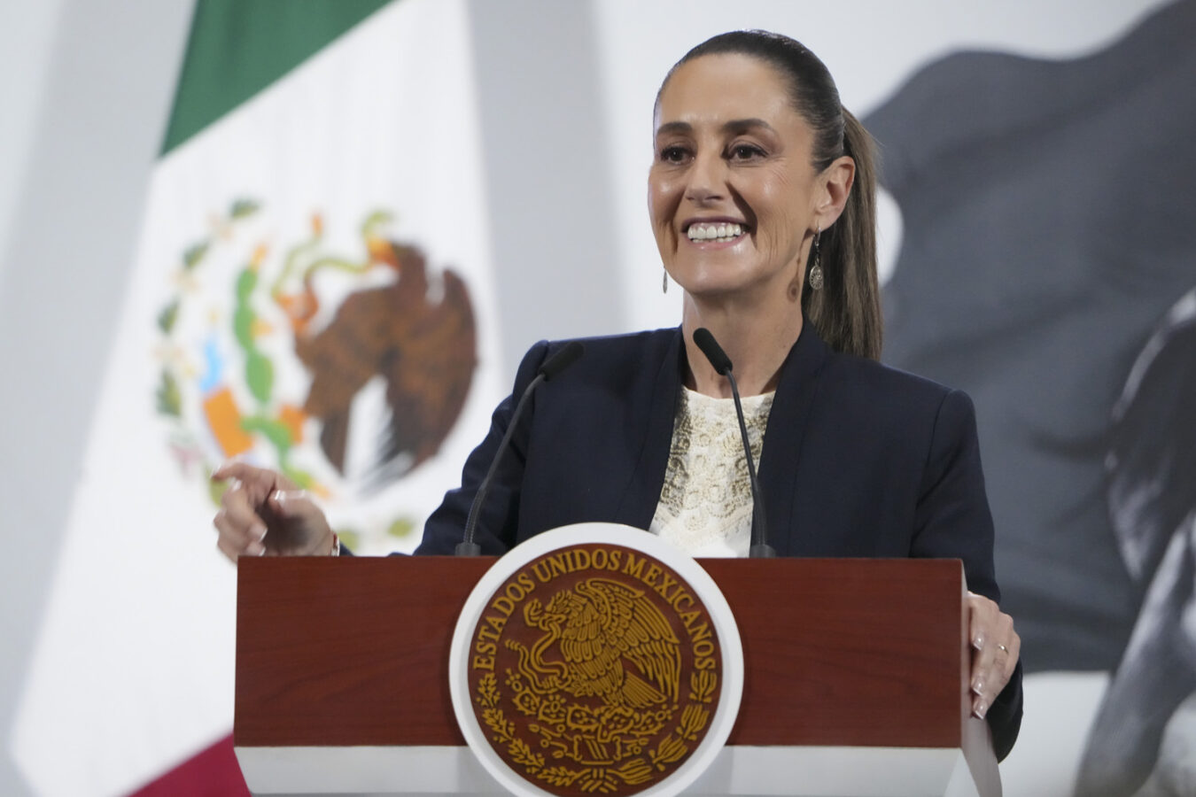 Renuncia titular de la Comisión Nacional de Búsqueda