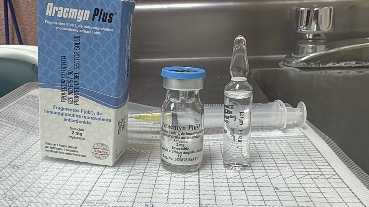 Exhorta IMSS Bienestar a evitar remedios caseros ante picaduras de araña o mordeduras de víbora