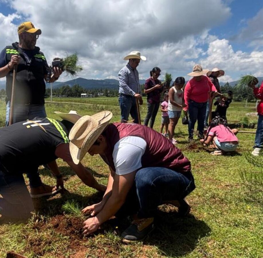 Realiza Huasca Jornada de Reforestación en Santo Tomás