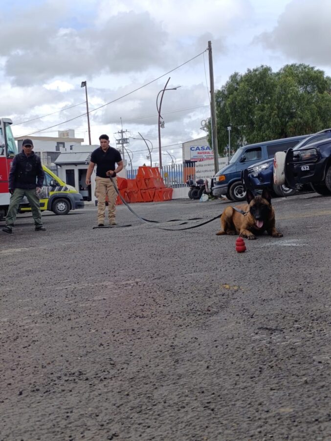 Realiza Mineral de la Reforma seminario de adiestramiento canino