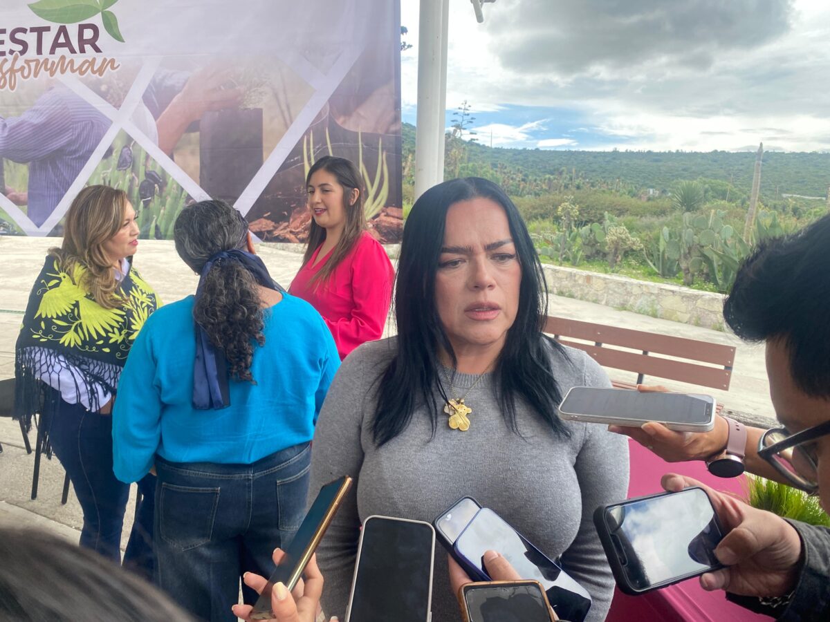 Arrasa gusano con parque nacional El Chico