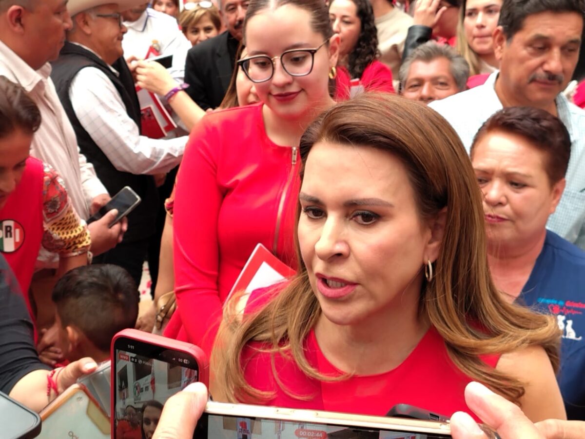 Revocación de mandato, “una farsa que consume dinero”: Viggiano.