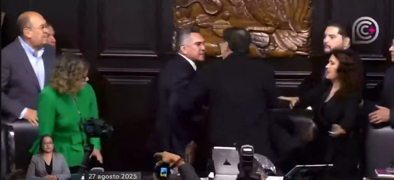 Manazos y empujones en el Senado