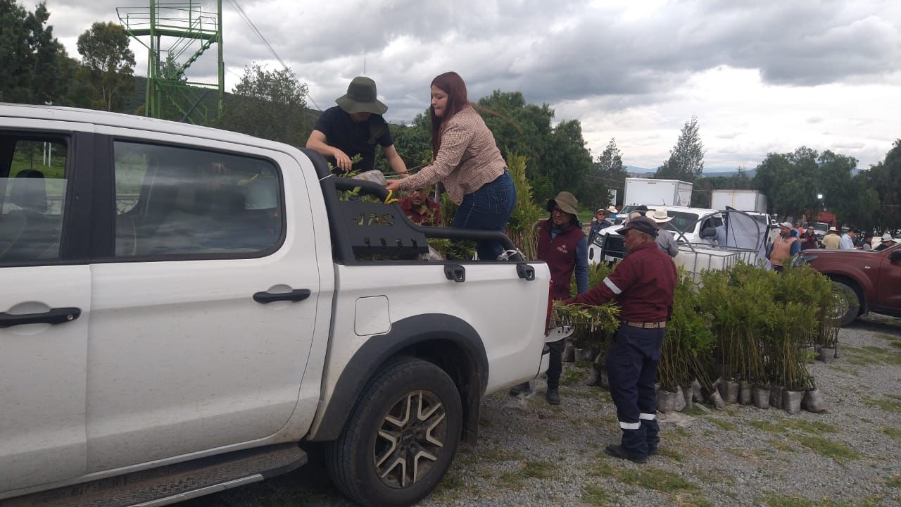 Recibe Tepeapulco plantas para reforestar 8 hectáreas