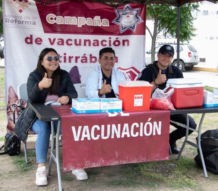 Atiende Mineral de la Reforma 147 denuncias de maltrato animal.