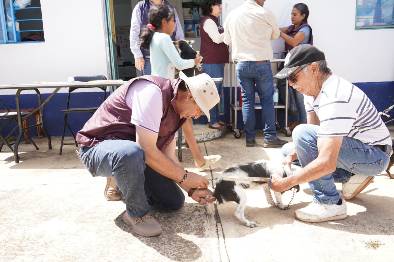 Mantiene Santiago Tulantepec campaña de vacunación antirrábica