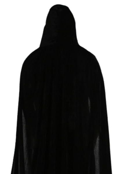 EL SEÑOR DE LOS SUSURROS
