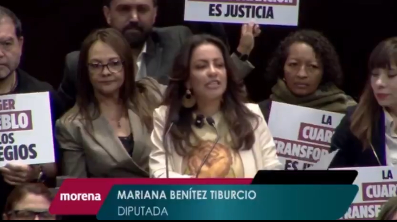 Reforma al amparo, “para devolverle su integridad”: diputada Mariana Benítez.