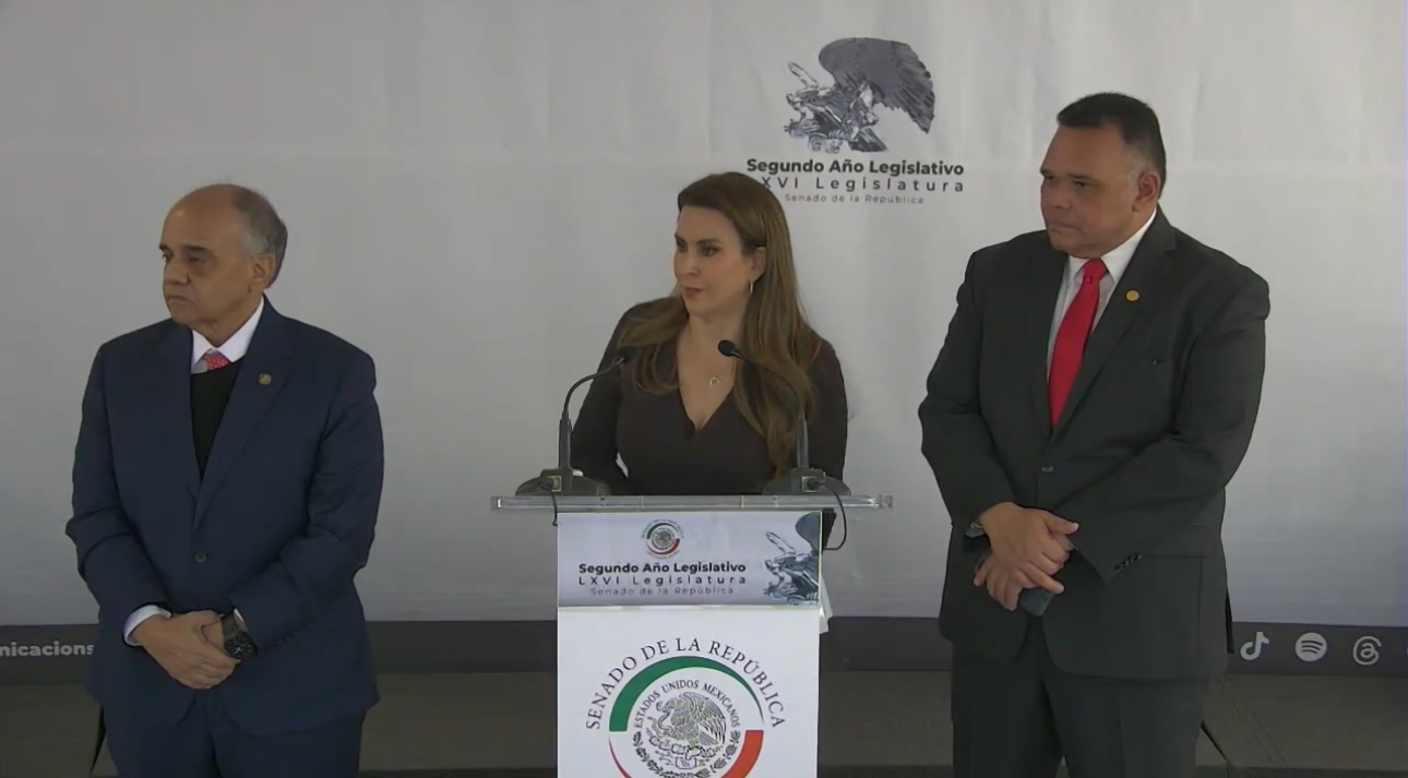 El TEPJF “se alejó de los principios de imparcialidad y probidad”: Viggiano.