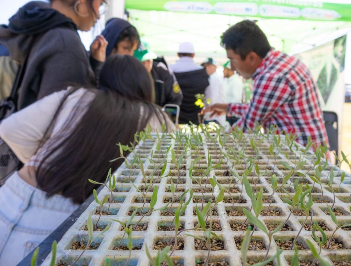 Realizan Primera Expo Agropecuaria Huasca 2025