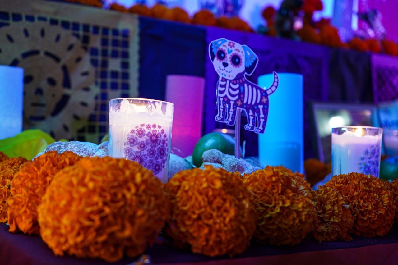 Inicia la celebración de día de muertos en Mineral de la Reforma