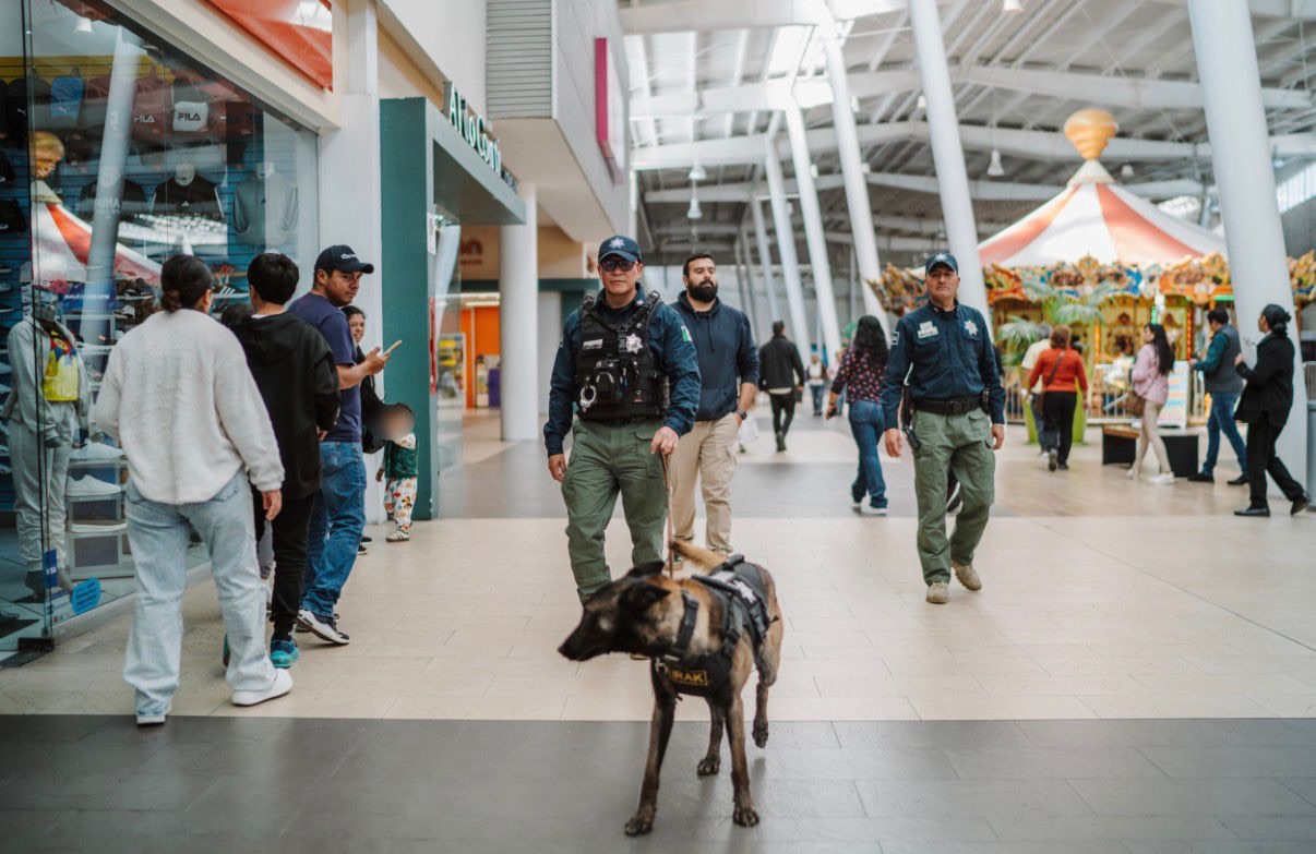 Fortalecen binomios K9 y policía municipal la seguridad en plazas comerciales de Pachuca