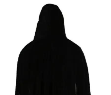 La garza en la primera fila: el GU vuelve a mover sus hilos en Huejutla